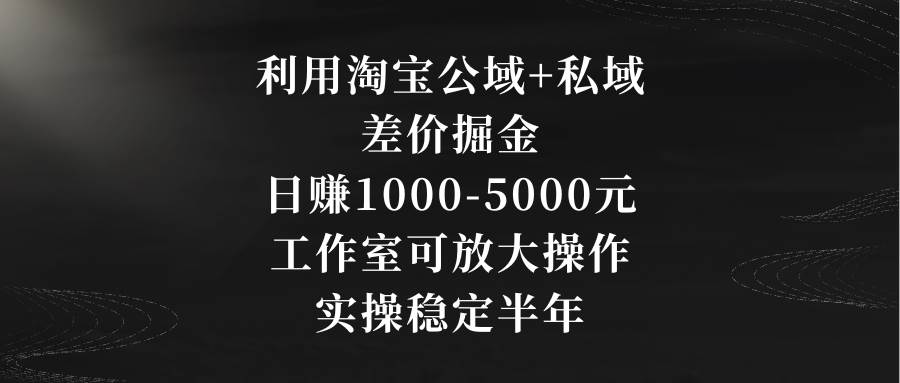 利用淘宝公域+私域差价掘金，日赚1000-5000元，工作室可放大操作，实操稳定半年⭐利用淘宝公域 私域差价掘金