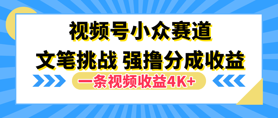 视频号小众赛道，文笔挑战，一条视频收益4K-云创库