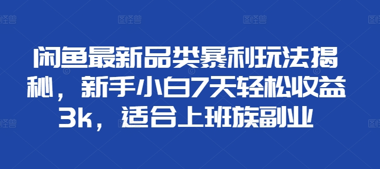 闲鱼最新品类玩法揭秘，适合上班族副业-云创宝盒