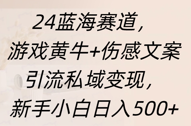 24蓝海赛道，游戏黄牛 伤感文案yin.流私域变现，新手一天500-云创库