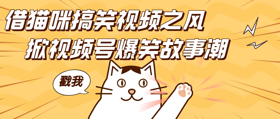 借猫咪搞笑视频之风，掀视频号爆笑故事潮-云创宝盒
