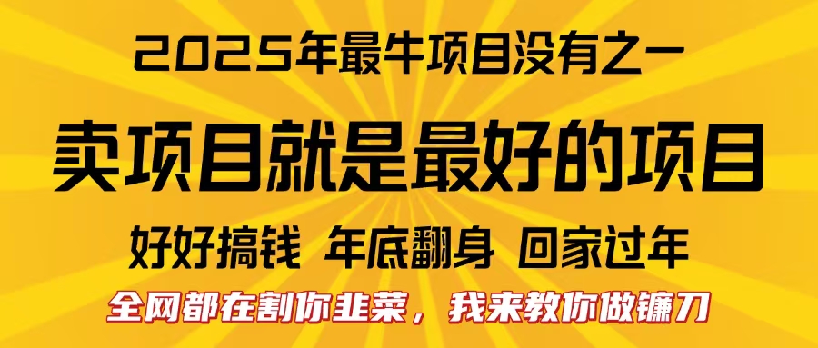 全网都在割你韭菜，我来教你做镰刀。卖项目就是最好的项目，2025年最牛互联网项目-云创库