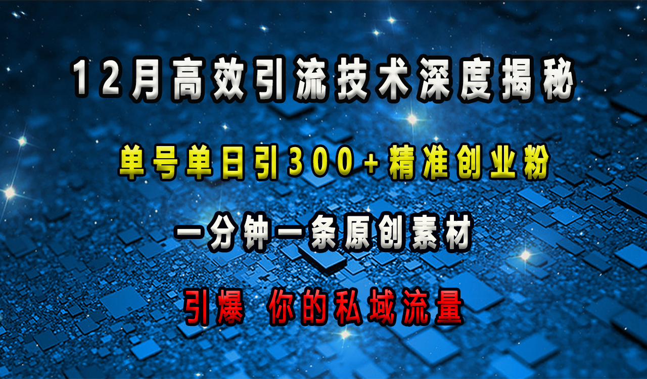 12月高效引流技术深度揭秘 ，单号单日引300+精准创业粉，一分钟一条原创素材，引爆你的私域流量⭐12月高效yin.流技术深度揭秘 ，单号单日引300 精准创业粉，一分钟一条原创素材