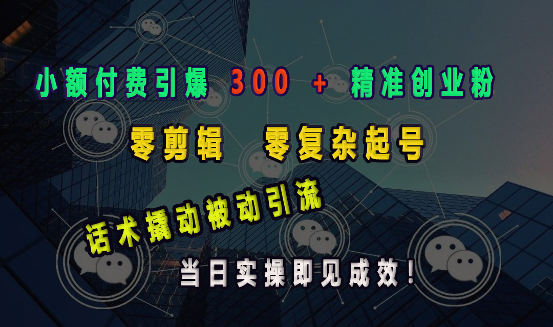 小额付费引爆300   精准创业粉-云创库