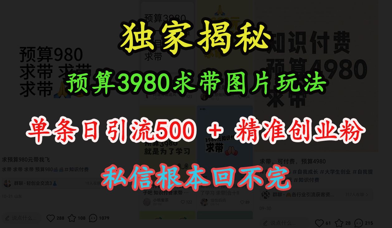 小hong.书”预算3980求带 图片玩法，单条500+精准创业粉，私信根本回不完