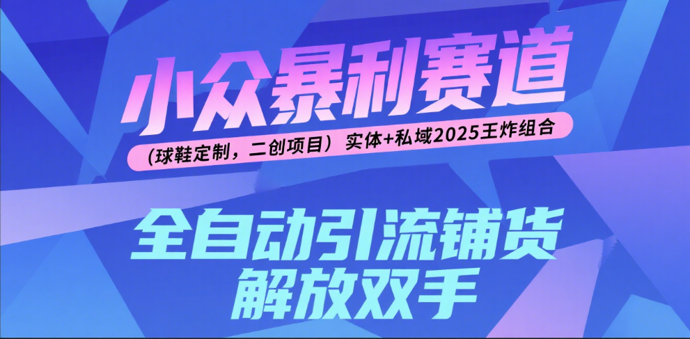 球鞋定制，二创项目